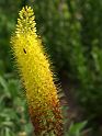 Most_Hofer_Garten_d_Geheimnisse_055