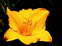 Most_Hofer_Garten_d_Geheimnisse_056