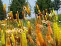 Most_Hofer_Garten_d_Geheimnisse_058