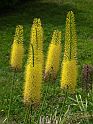 Most_Hofer_Garten_d_Geheimnisse_059
