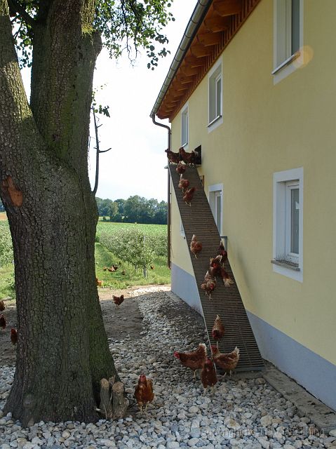 Rohrhuber_OOE-Nachrichten_09.JPG