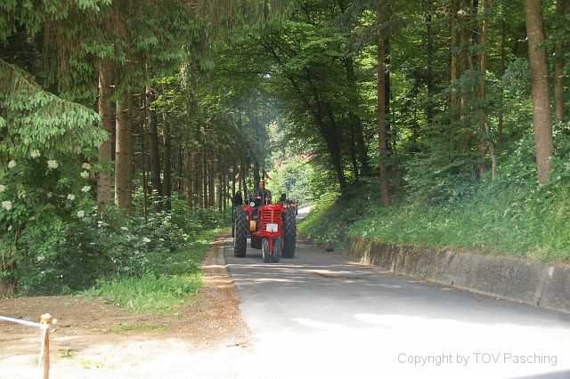 Poestlingberg_29.JPG