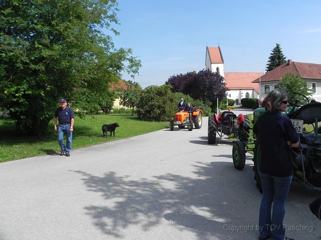DSCN4987.JPG