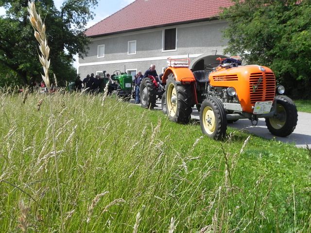 DSCN4991.JPG