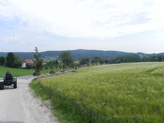 DSCN5003.JPG