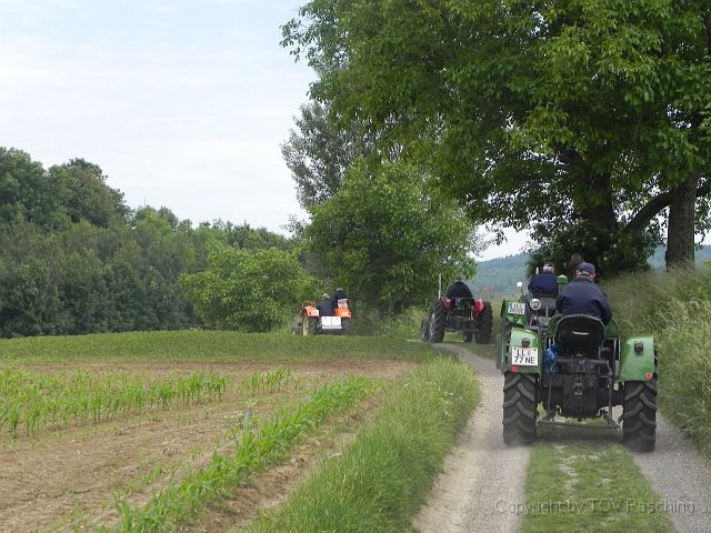 DSCN5008.JPG