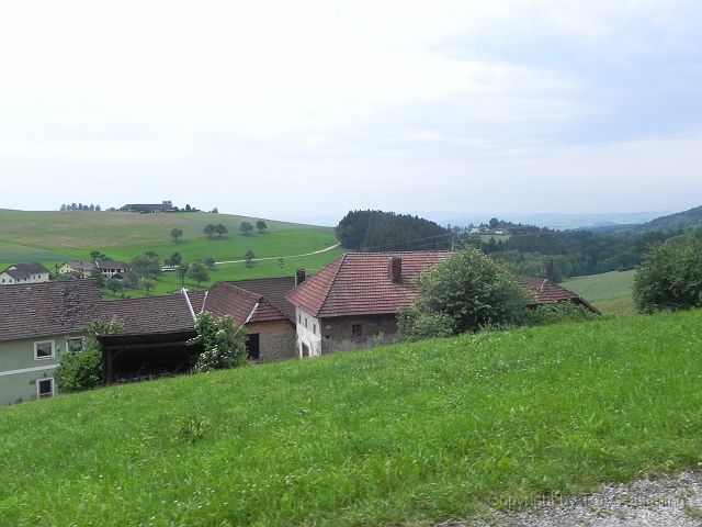 DSCN5138.JPG