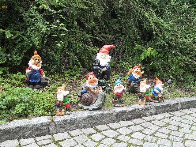DSCN5190.JPG