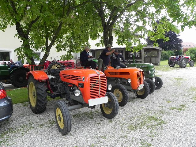 DSCN5228.JPG