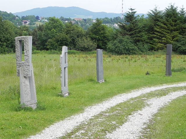 DSCN5234.JPG