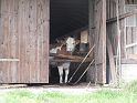 DSCN5117