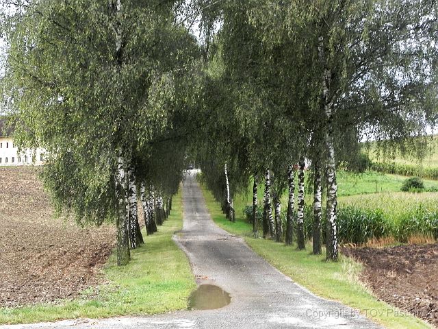 Landlust_Sippbachzell_08.JPG