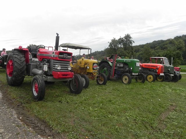 Landlust_Sippbachzell_16.JPG