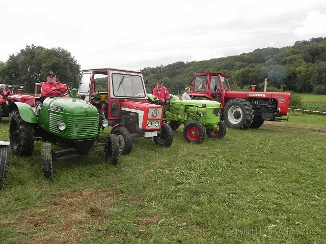 Landlust_Sippbachzell_59.JPG