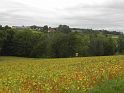 Landlust_Sippbachzell_12