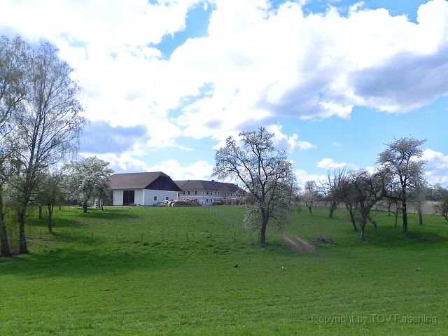 Hufnagl_2012_21.JPG
