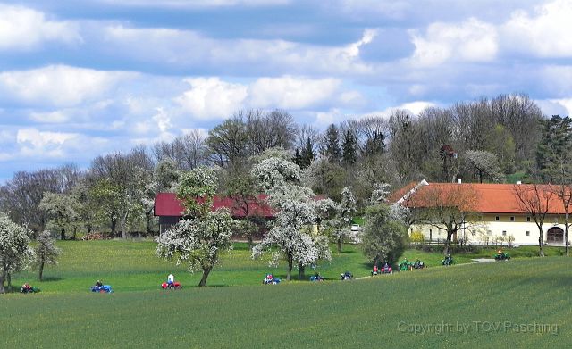 Hufnagl_2012_29.JPG
