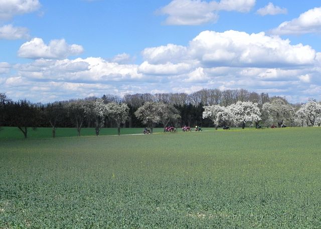 Hufnagl_2012_30.JPG