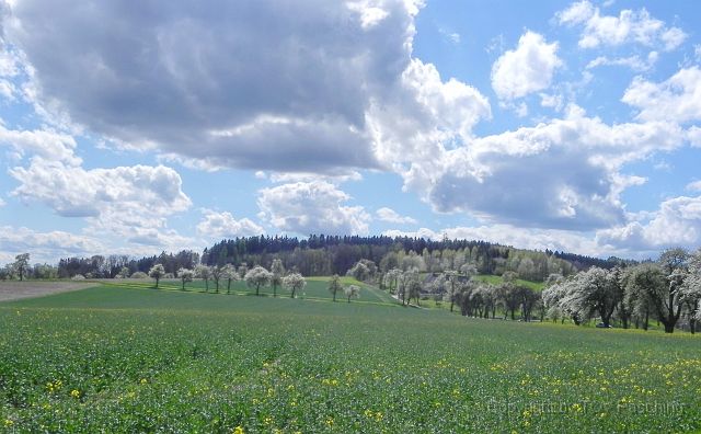 Hufnagl_2012_32.JPG