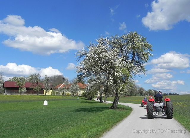 Hufnagl_2012_33.JPG