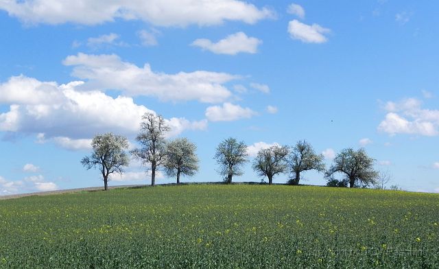 Hufnagl_2012_34.JPG