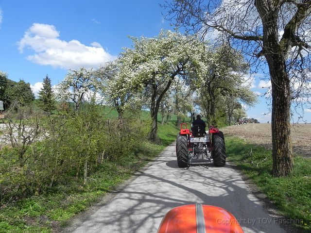 Hufnagl_2012_36.JPG