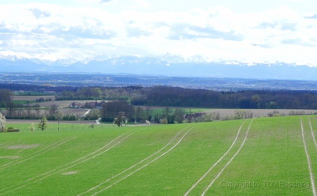 Hufnagl_2012_38.JPG