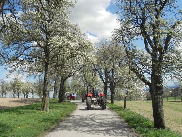 Hufnagl_2012_39.JPG