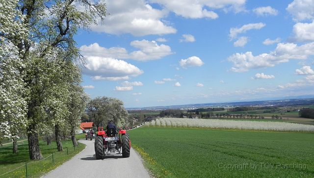 Hufnagl_2012_40.JPG