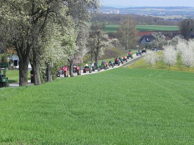 Hufnagl_2012_41.JPG
