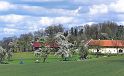 Hufnagl_2012_29