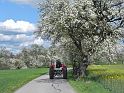 Hufnagl_2012_31