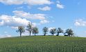 Hufnagl_2012_34