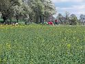 Hufnagl_2012_35