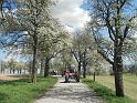 Hufnagl_2012_39