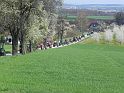 Hufnagl_2012_41
