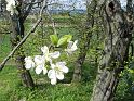 Hufnagl_2012_53