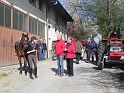 Hufnagl_2012_71
