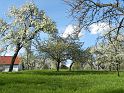 Hufnagl_2012_73