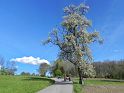 Hufnagl_2012_74