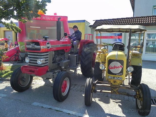 Steiner_Marchtrenk_005.JPG