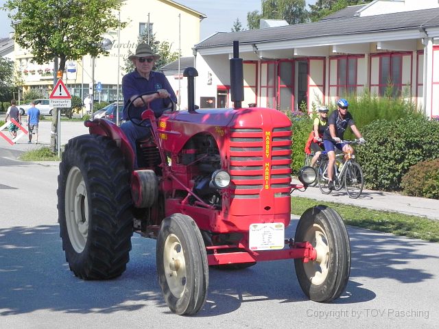 Steiner_Marchtrenk_010.JPG