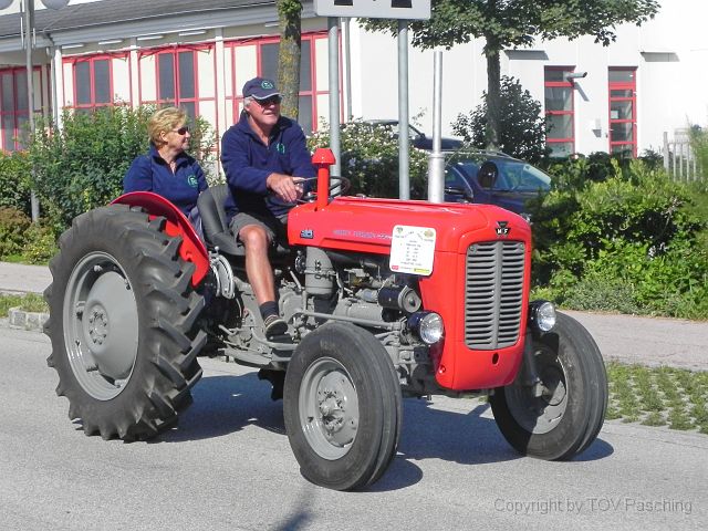 Steiner_Marchtrenk_016.JPG