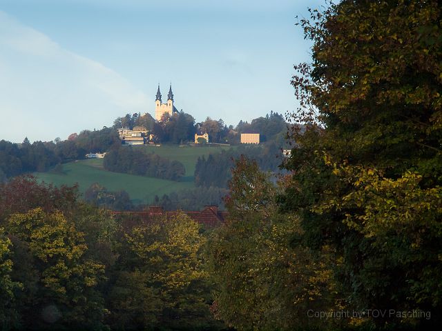 _A130555.jpg