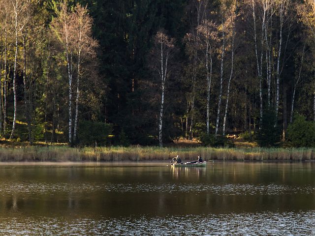 _A130594.jpg