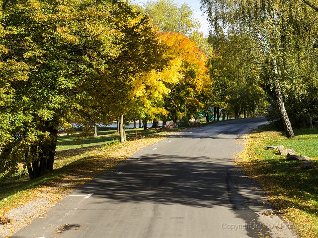 _A130656.jpg