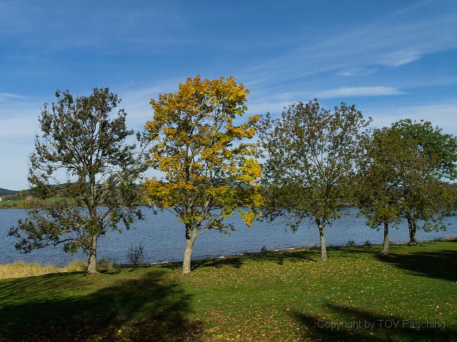 _A130657.jpg