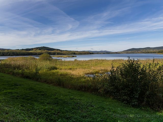 _A130687.jpg