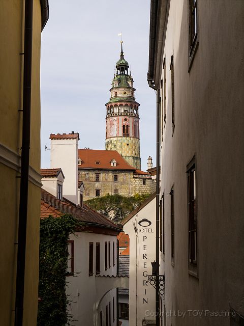 _A130735.jpg