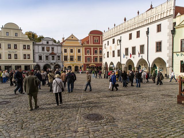 _A130739.jpg